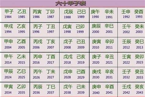 2023兔五行|2023年兔年五行属什么 23年属兔人的五行是哪个